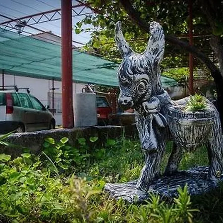 In With Sea View, Balcony, Air Conditioning, W-lan 5055-2 * Τρογκίρ